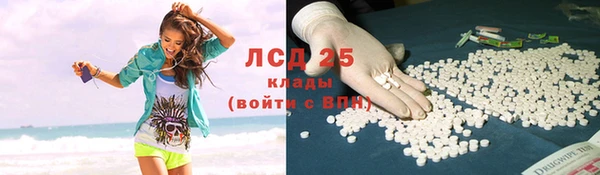ПСИЛОЦИБИНОВЫЕ ГРИБЫ Балабаново