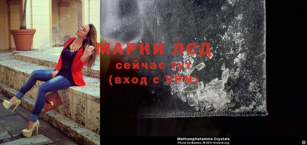 стафф Арсеньев