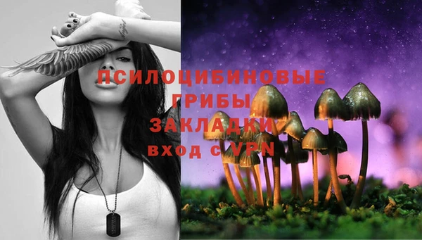 стафф Аркадак