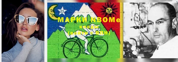 стафф Арсеньев