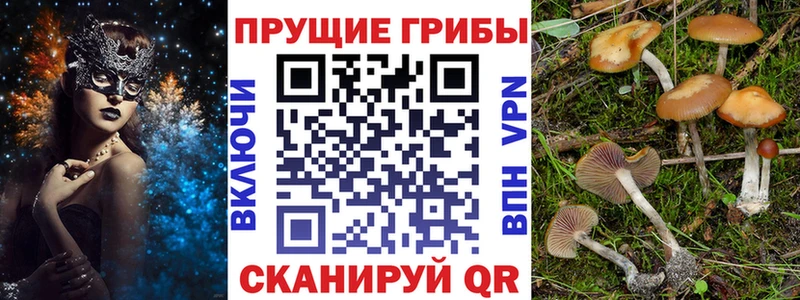 Галлюциногенные грибы Magic Shrooms  Дно 